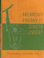 kniha Brehmovy povídky ze života zvířat, Vladimír Orel 1932