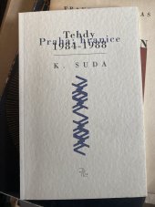 kniha Tehdy Praha: hranice 1984-1988, ERM 1995