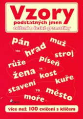 kniha Vzory podstatných jmen [více než 100 cvičení s klíčem], Pierot 2006