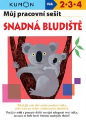 kniha Snadná bludiště pracovní sešit, Svojtka & Co. 2018