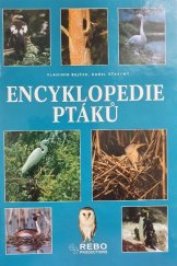 kniha Encyklopedie ptáků, Rebo 1999