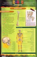 kniha Mapka přírodopisu 3, - Biologie člověka, ekologie - praktická pomůcka ke studiu přírodopisu a k přípravě na přijímací zkoušky na SŠ : stručný výběr poznatků a pojmů z přírodopisu., Didaktis 2004