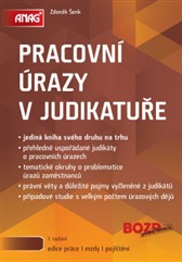 kniha Pracovní úrazy v judikatuře, Anag 2013