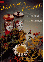 kniha Léčivá síla bodláků, Fontána 1995
