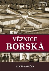 kniha Věznice borská, Starý most 2017