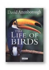 kniha The Life of Birds, BBC Books 1998