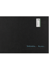 kniha Spřízněni-- umělci podpoření Nadací Jana a Milan Jelínek = Allied-- : artists supported by the Jana & Milan Jelinek Foundation, Národní galerie  2006