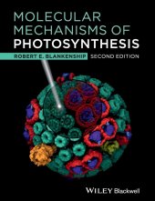 kniha Molecular Mechanisms of Photosynthesis, Wiley Blackwell 2014