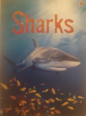 kniha Sharks, Usborne Publishing Ltd. 2013