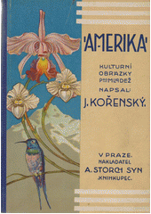 kniha Amerika Kulturní obrázky z Ameriky střední a jižní, A. Štorch a syn 1925