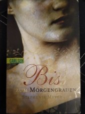 kniha Bis zum Morgengrauen, Carlsen 2005