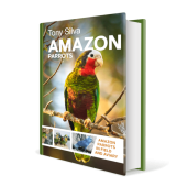 kniha Amazon Parrots, Nová Exota 2022