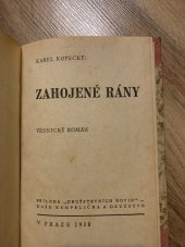 kniha Zahojené rány, Družstevní noviny 1938