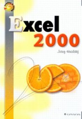 kniha Excel 2000, Grada 1999