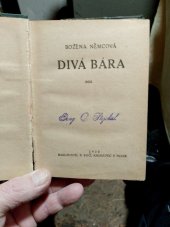 kniha Dívá Bára , B - KOČÍ 1920