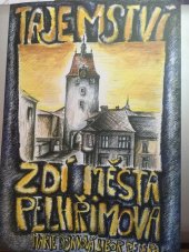 kniha Tajemství zdí města Pelhřimova, Nová tiskárna Pelhřimov 2002