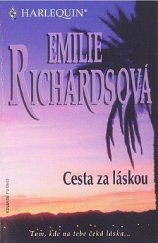 kniha Cesta za láskou, Harlequin 1998