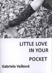 kniha Little love in your pocket, Nová Forma 2010