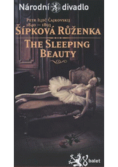 kniha Petr Iljič Čajkovskij (1840-1893), Šípková Růženka sto let strachu a spánku, probuzení do lásky : česká premiéra 29.3.2012, 2. premiéra 30.3.2012, Národní divadlo, Národní divadlo 