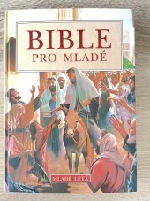 kniha Bible pro mladé, Mladé letá 1998