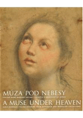 kniha Múza pod nebesy italská raně barokní kresba z českých a moravských sbírek = A Muse under Heaven : early-baroque Italian drawing from Bohemian and Moravian collections : [Moravská galerie v Brně, Místodržitelský palác, Moravské nám. 1a, 13.3.2009-7.6.2009 : katalog, Moravská galerie 2009