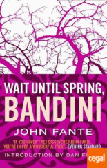 kniha Wait until Spring, Bandini, Canongate books 2007