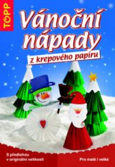 kniha Vánoční nápady z krepového papíru, Anagram 2008