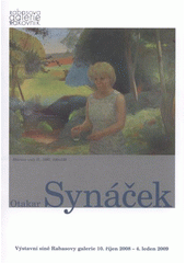 kniha Otakar Synáček výstavní síně Rabasovy galerie 10. říjen 2008 - 4. leden 2009 : [katalog], Rabasova galerie 2008