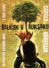 kniha Balíček v ruksaku ve vyjetých kolejích nebo v Boží stopě, Postilla 2010