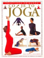 kniha Co je to jóga systematický průvodce po Iyengarově metodě jógy pro relaxaci, zdraví a duševní a tělesnou pohodu, Svojtka & Co. 2001