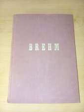 kniha Brehmův Život zvířat díl 4. - Ssavci - sv. 4. Sudokopytníci ; Poloopice ; Opice, J. Otto 1928