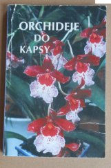 kniha Orchideje do kapsy, Aurore 2000