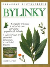 kniha Bylinky, Svojtka & Co. 2001