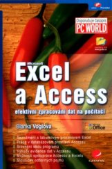 kniha Excel a Access efektivní zpracování dat na počítači, Grada 2004