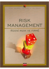 kniha Risk management řízení rizika ve firmě, CPress 2007