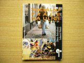 kniha Sociální práce na ulici - streetwork, Doplněk 2000