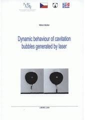 kniha Dynamic behaviour of cavitation bubbles generated by laser, Technická univerzita v Liberci 2008