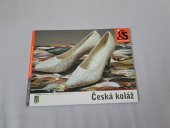 kniha Česká koláž. Galerie Smečky  Sbírka Pražské plynárenské , Nadační fond Galerie Smečky 2005