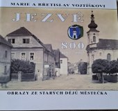 kniha Jezvé - 800, 1197 - 1997 Obrazy se starých dějů městečka, Obecní úřad Stružnice 1997