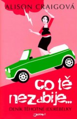 kniha Co tě nezabije-- deník těhotné (ex)rebelky, Jota 2008