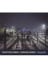 kniha František Domin, Dominik Domin fotografie = [photographs, Prácheňské muzeum v Písku 2008