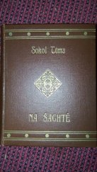 kniha Na šachtě román o třech knihách : druhá samostatná část Černého království, Mladé proudy 1924