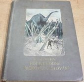 kniha Podivuhodné Jiříčkovo cestování, Jos. R. Vilímek 1925