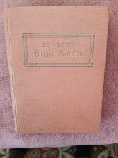 kniha Útok života román mládí, Svátek 1924