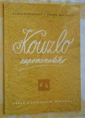 kniha Kouzlo zapomenutého práce s přírodními materiály, Rezekvítek 1998