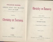 kniha Obrázky ze Šumavy, Alois Hynek 1889