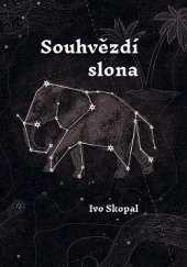 kniha Souhvězdí slona, Togga 2024