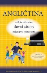 kniha Angličtina Velká cvičebnice slovní zásoby nejen pro maturanty, Pavel Pařízek - P&P 2013