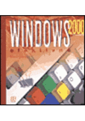 kniha Windows 2000 Professional efektivně, CCB 2000