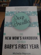 kniha The  new  mom s hanbook  to your  baby s first year, Mango Media 2017